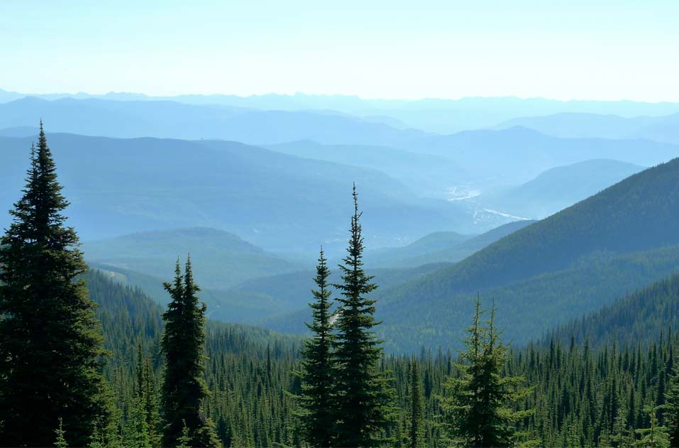 Red Reservations Summer