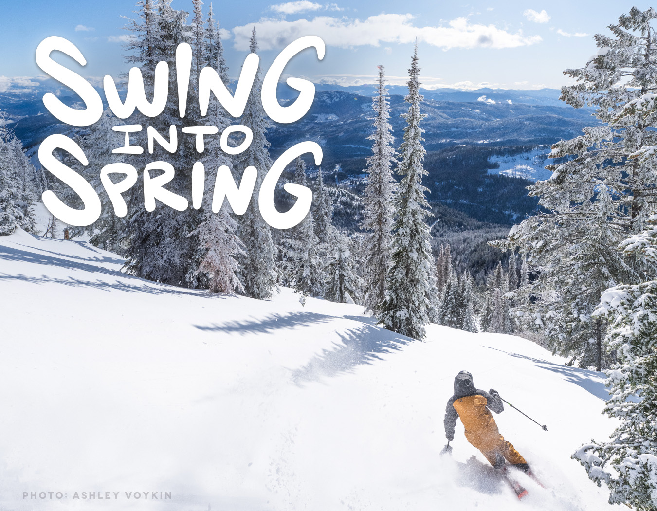 Spring-Swing